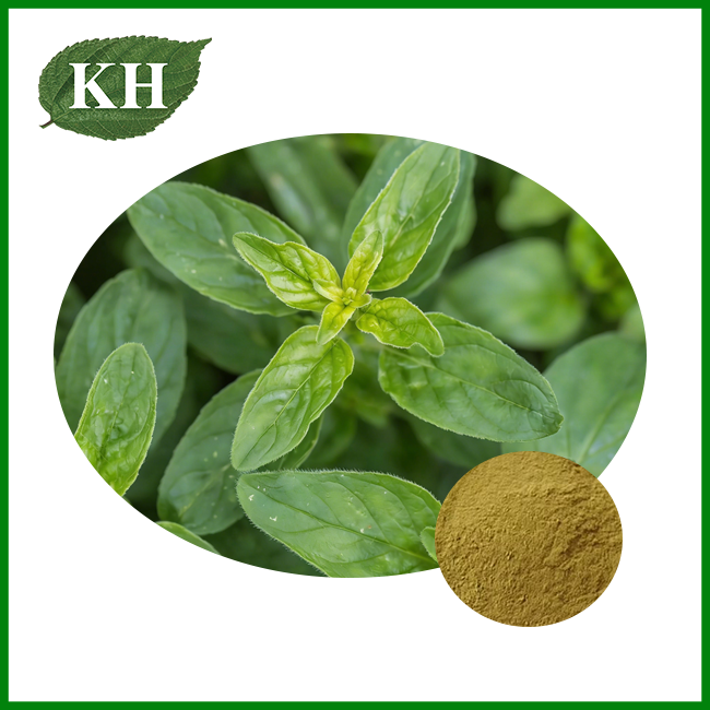 Origanum Extract